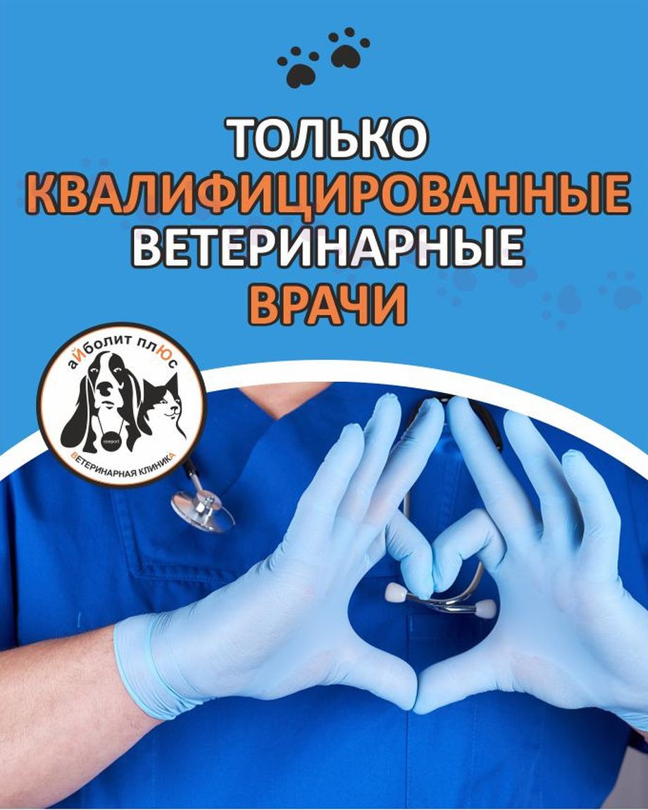 Айболит Плюс