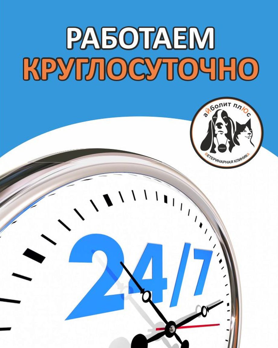 Айболит Плюс