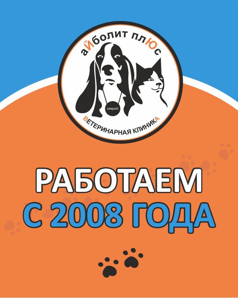 Айболит Плюс