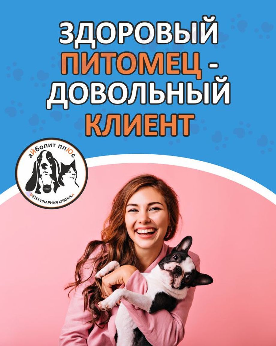 Айболит Плюс