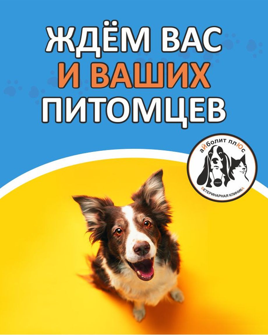 Айболит Плюс
