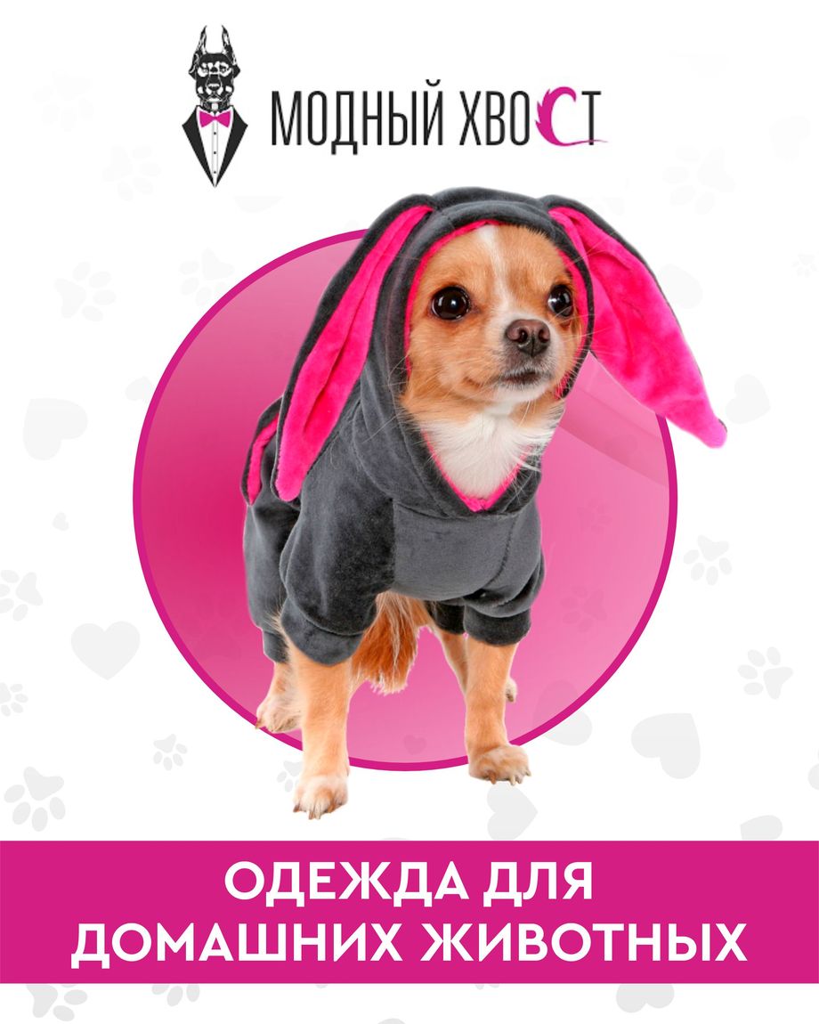 Модный Хвост