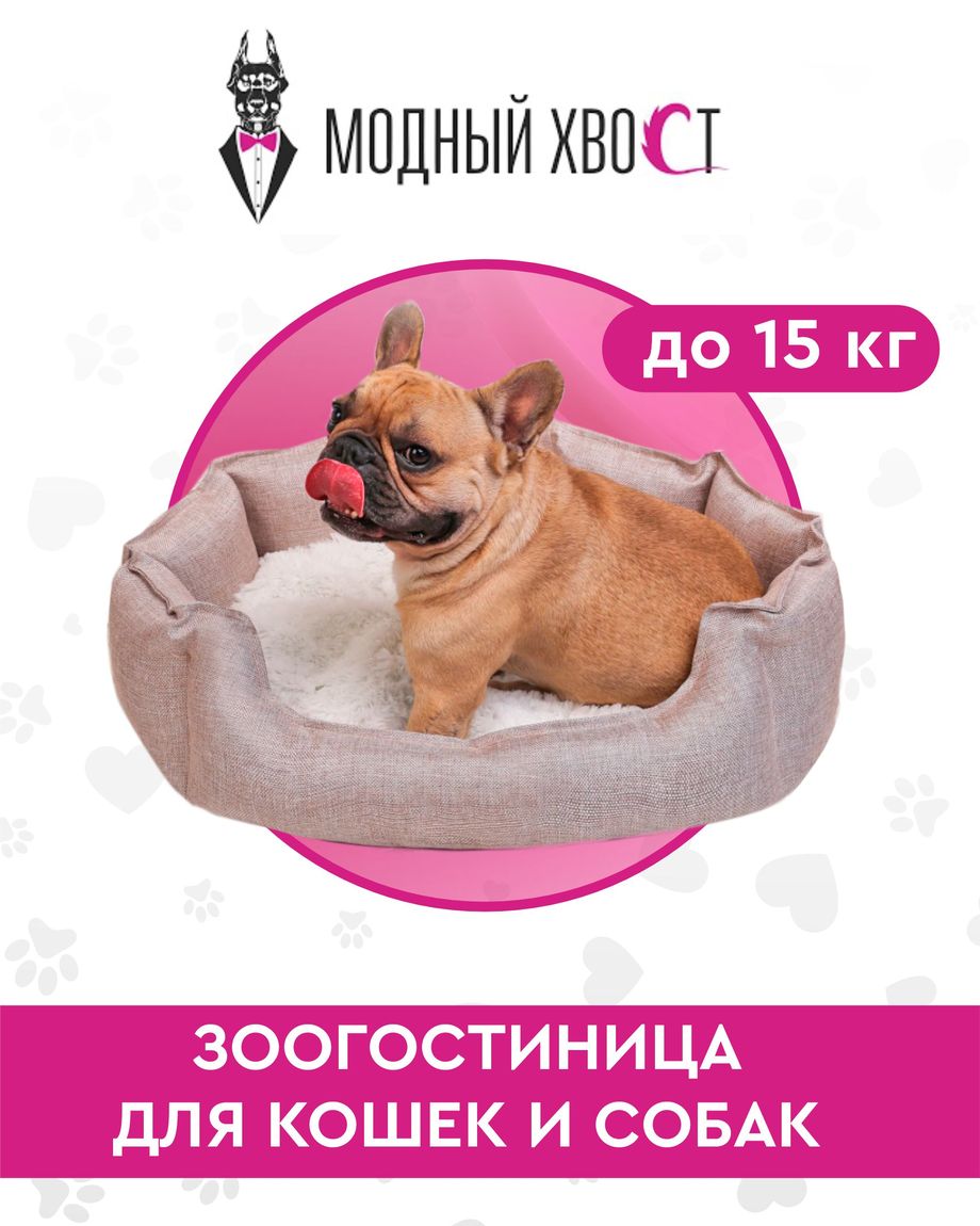 Модный Хвост