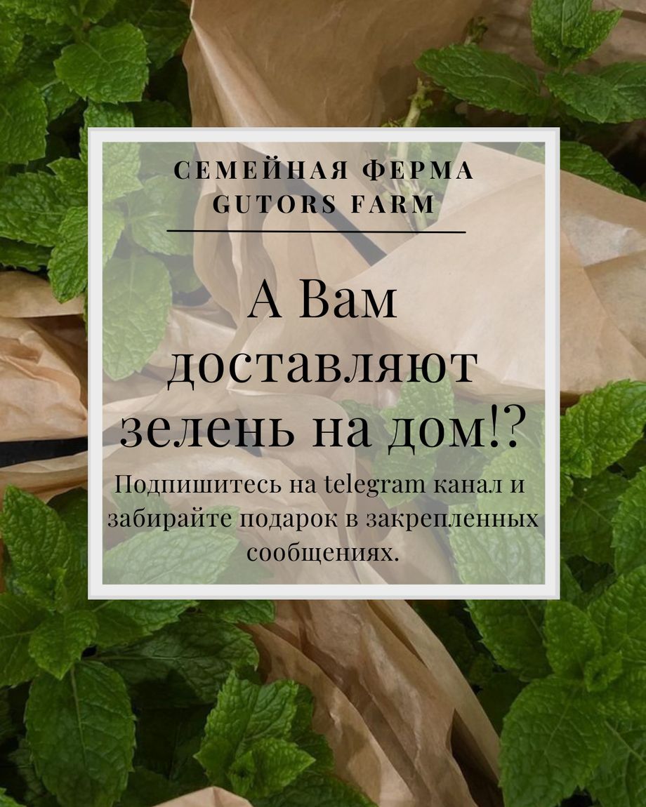 GUTORS.farm