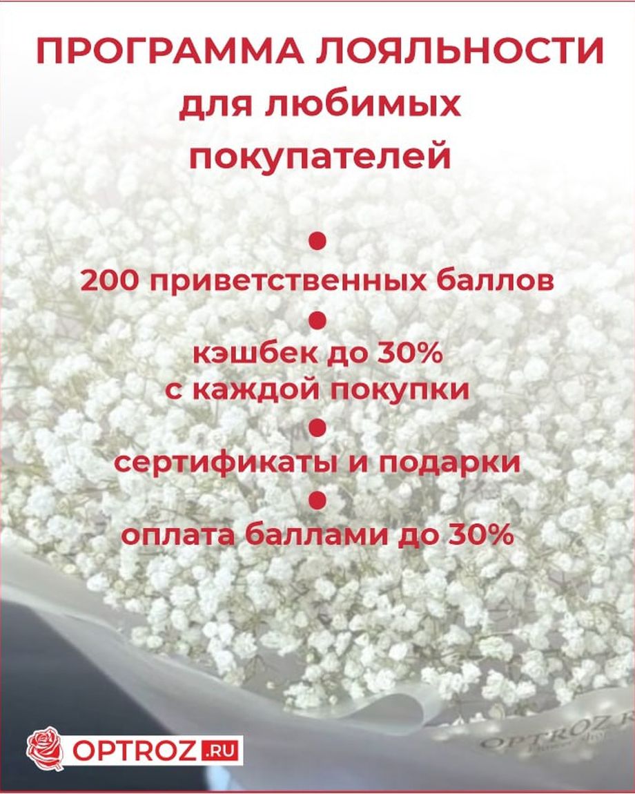 OPTROZ.RU