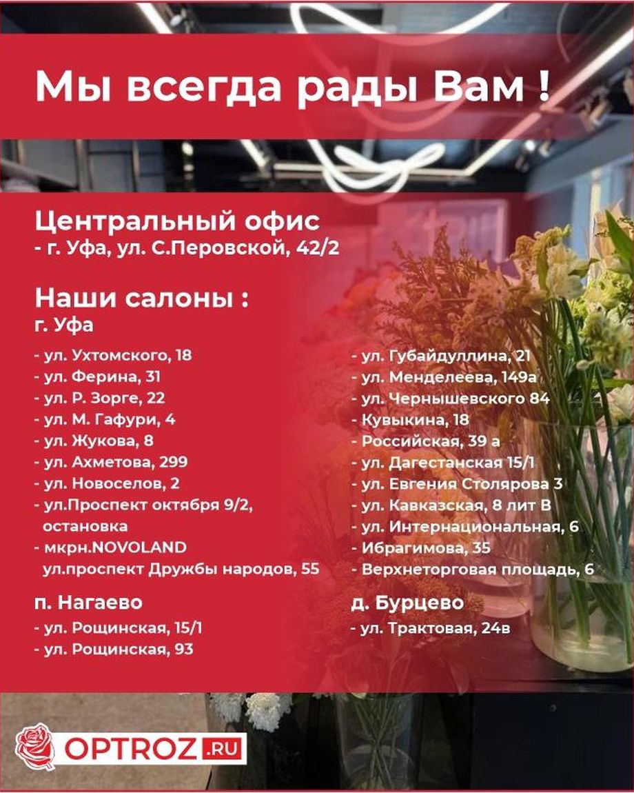 OPTROZ.RU