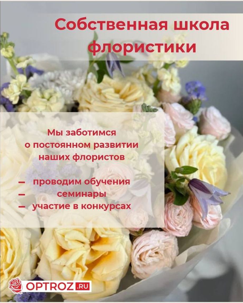 OPTROZ.RU