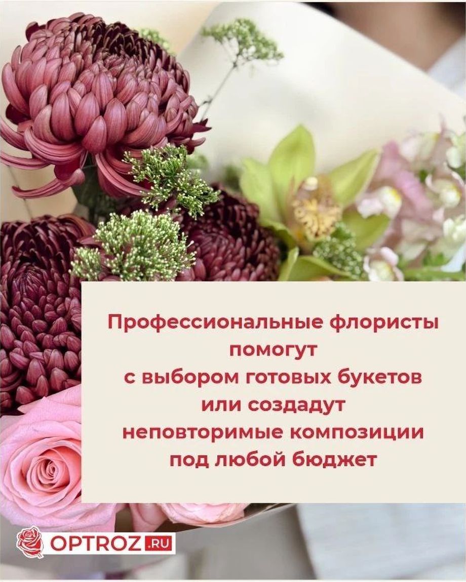 OPTROZ.RU