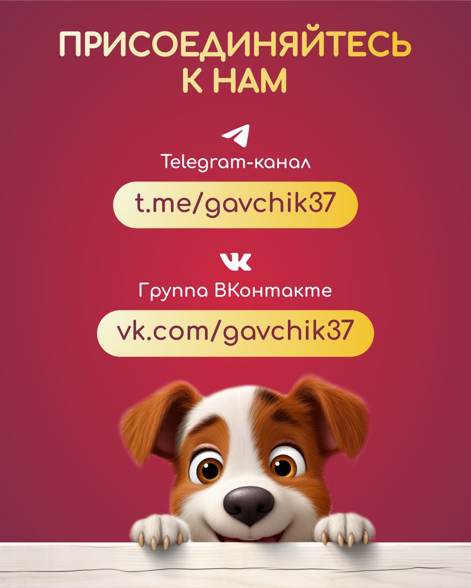 GAVЧИК