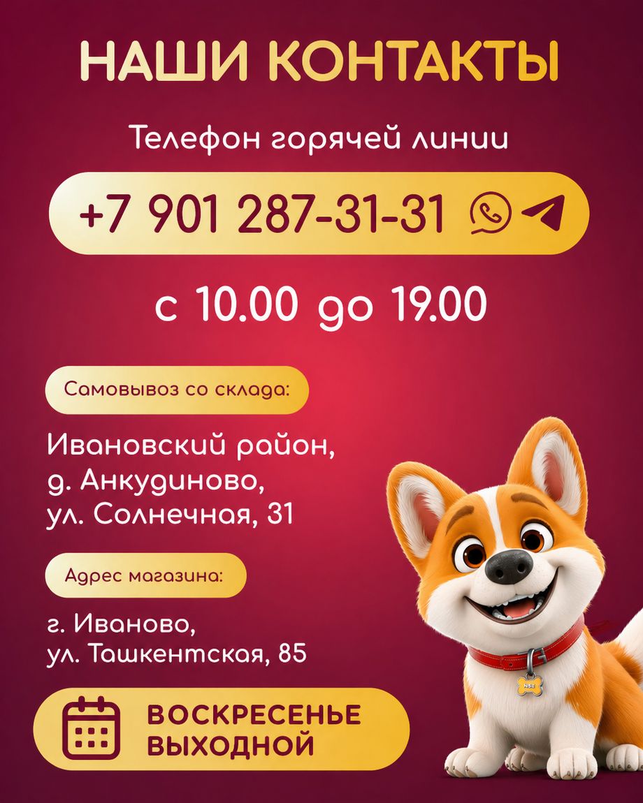 GAVЧИК