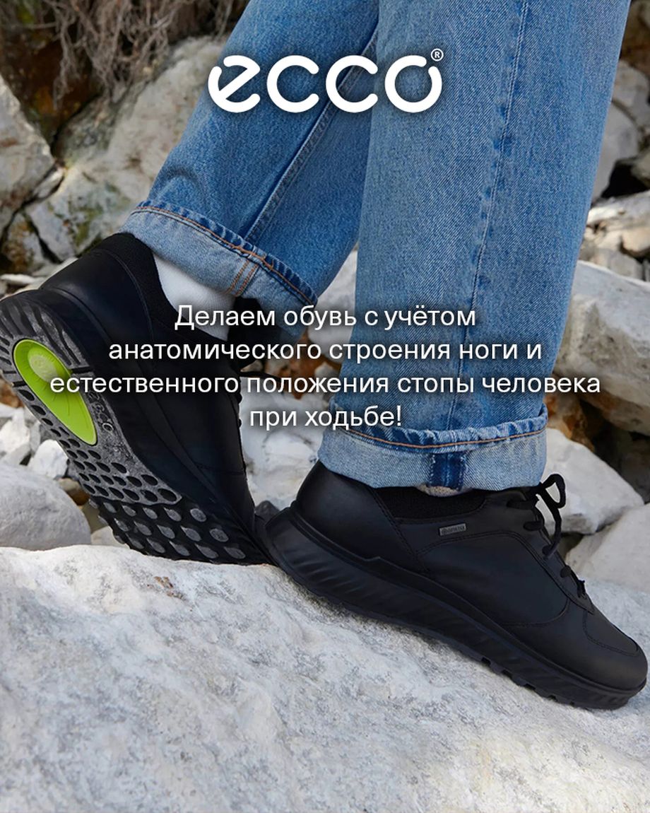 TRENDY TVER