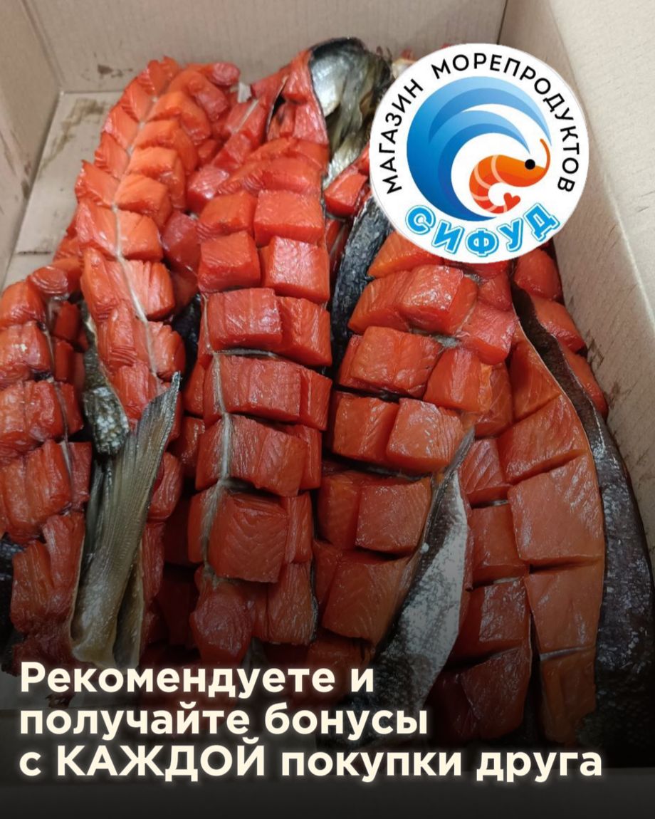 Сифуд