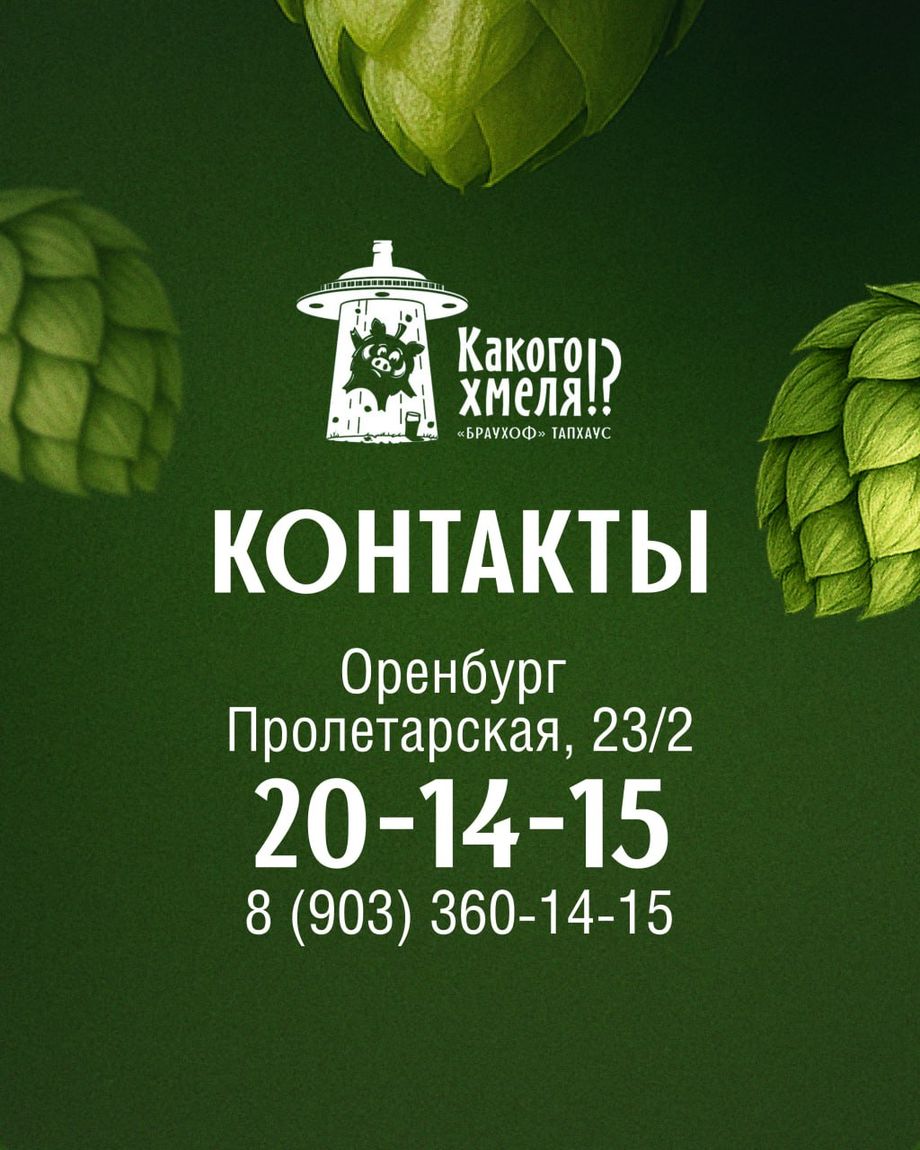 Какого хмеля!?