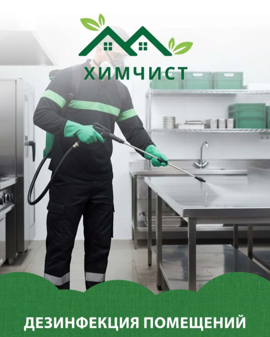Химчист
