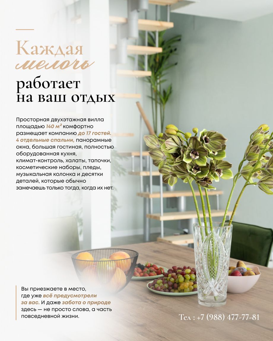 Тихий Слон