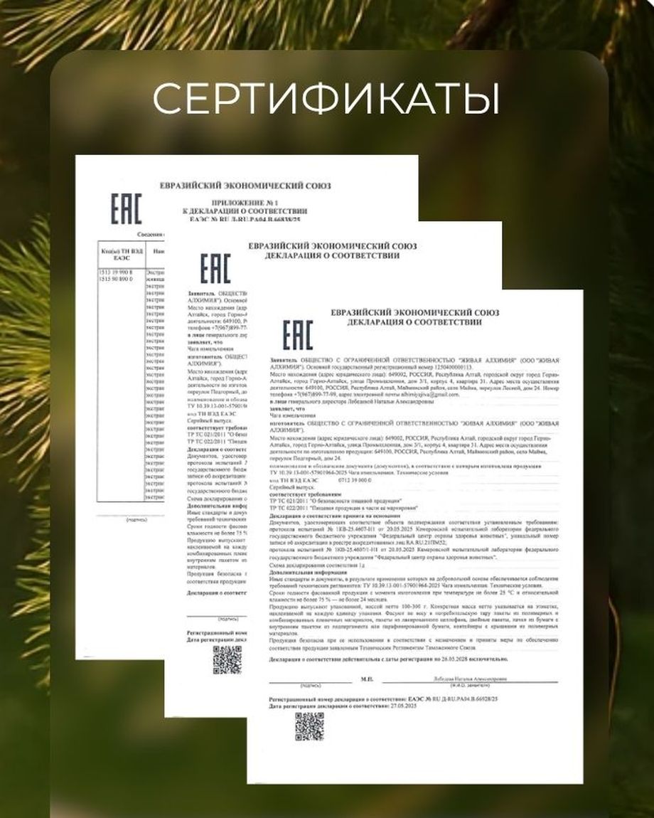 Живая Алхимия