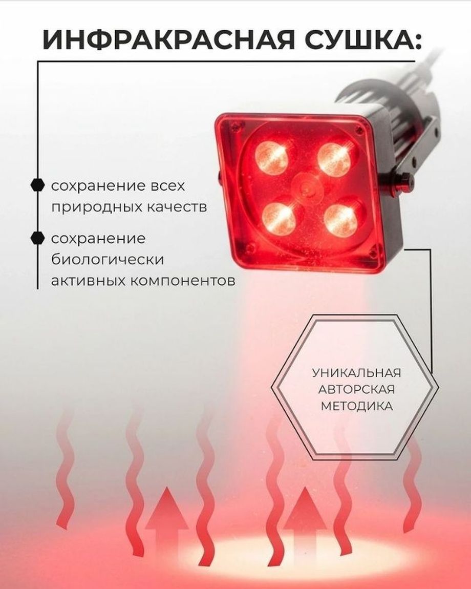 Живая Алхимия