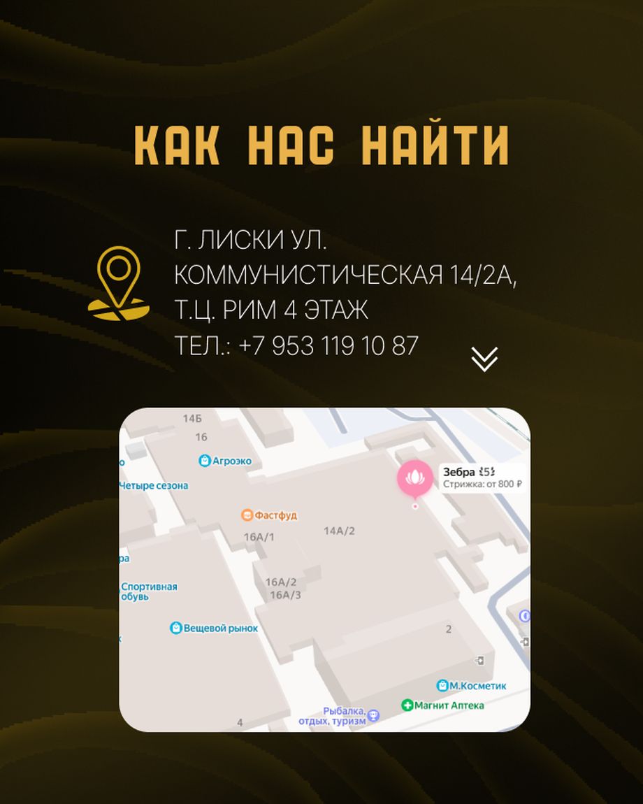 Золотая Зебра