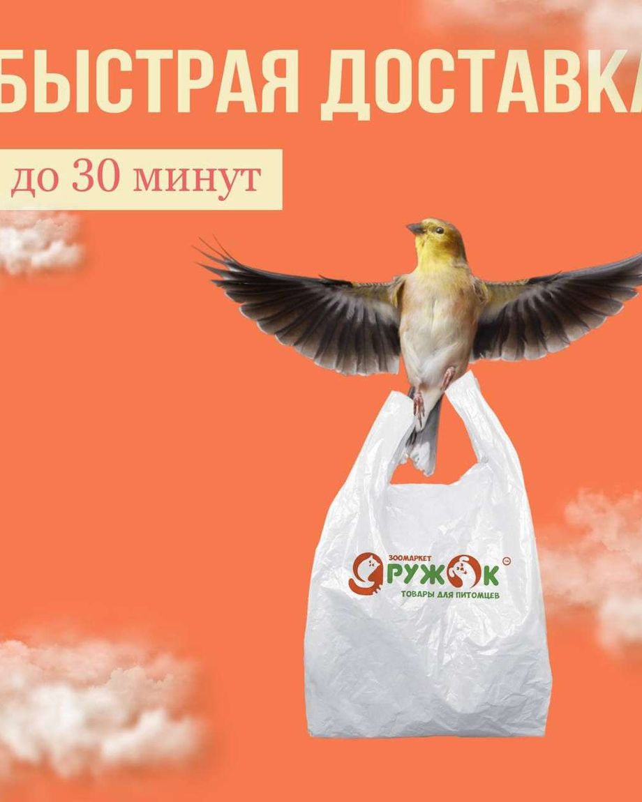 ДРУЖОК