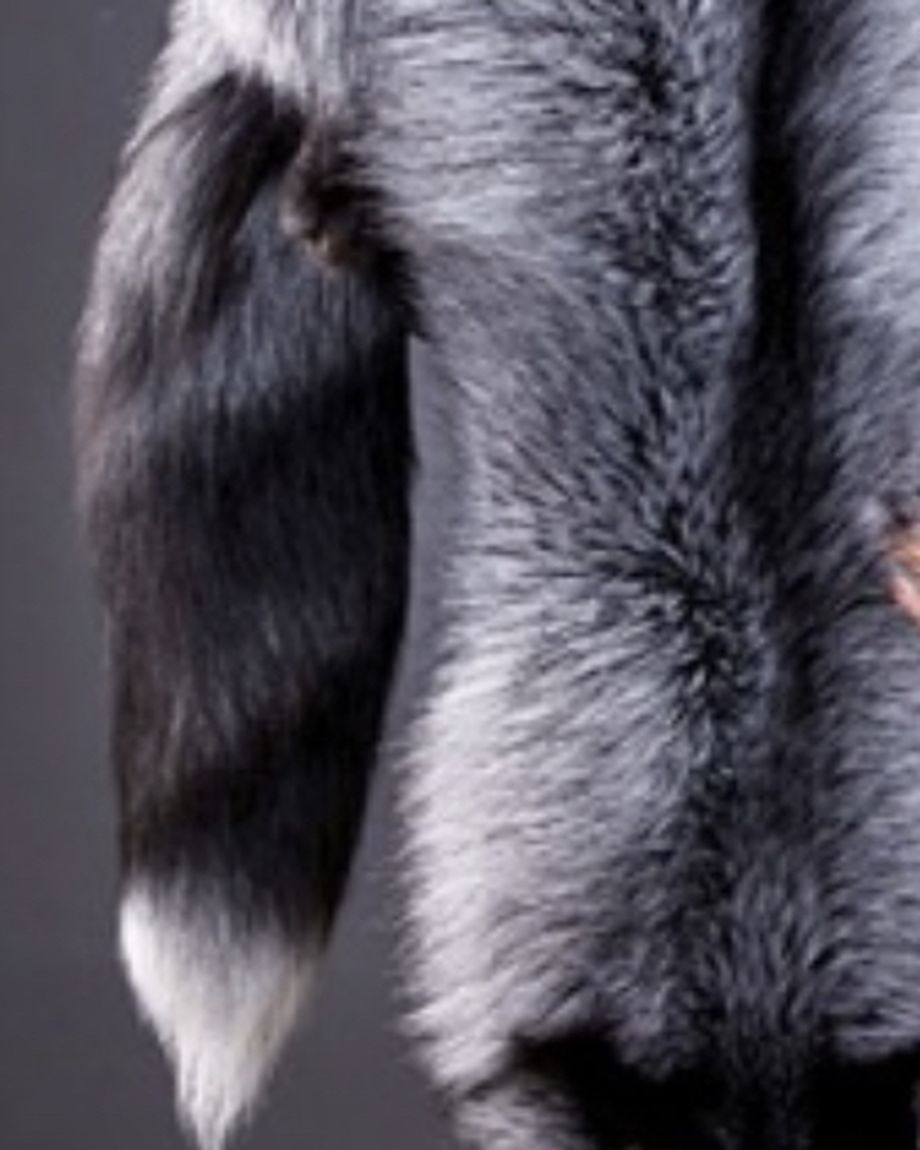 КОРОНА
