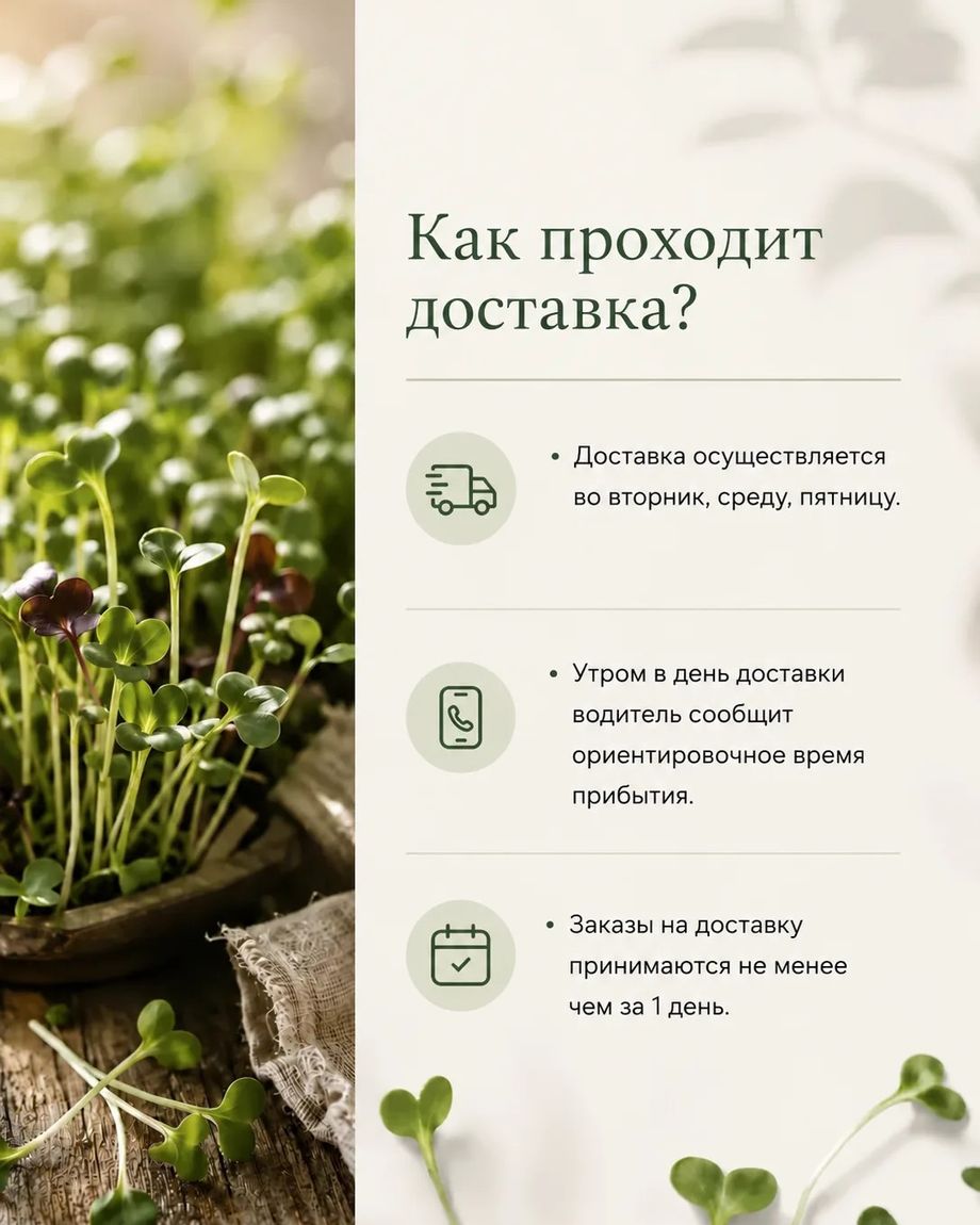 Проростки