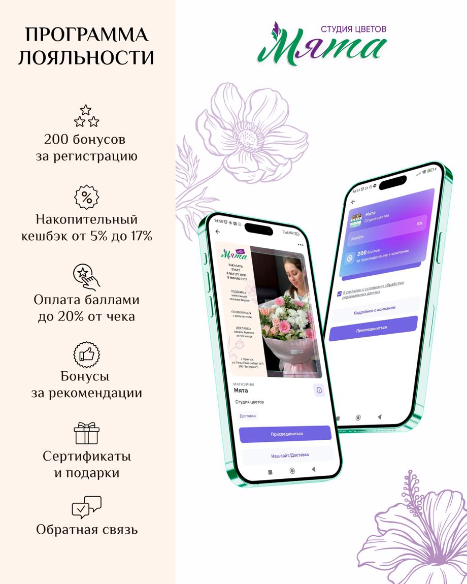 Мята
