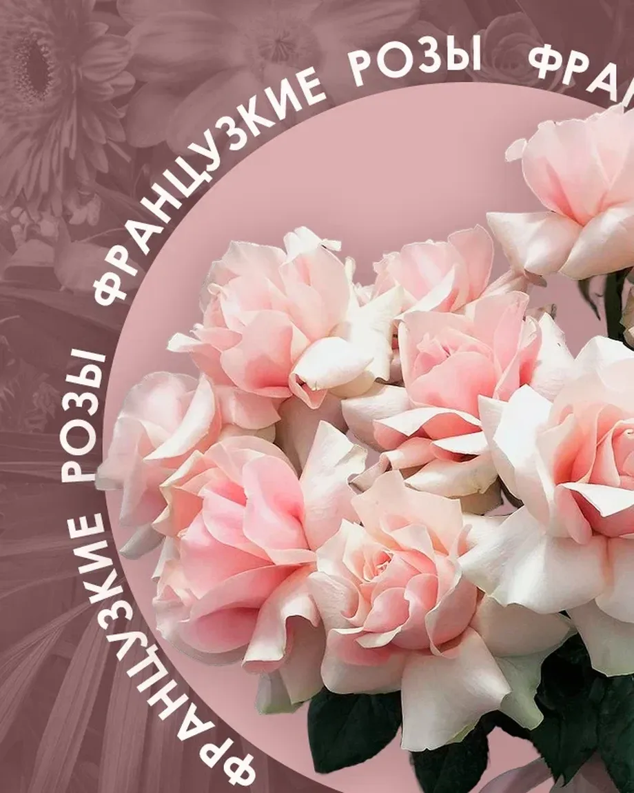 Нескучный Сад
