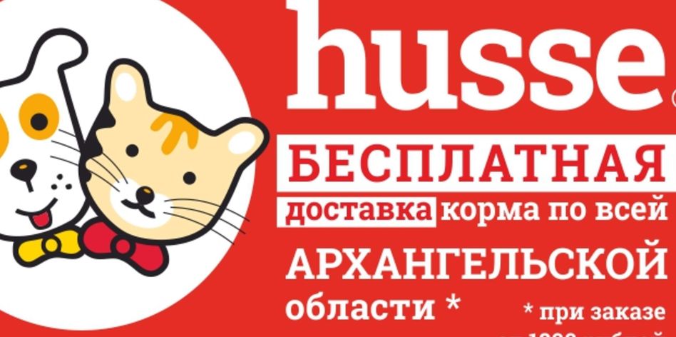 Хуссе & 29ZOO