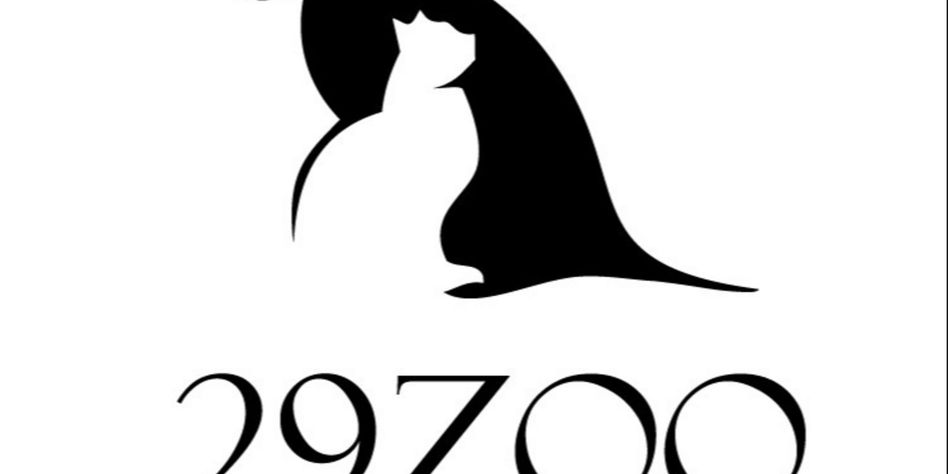 Хуссе & 29ZOO
