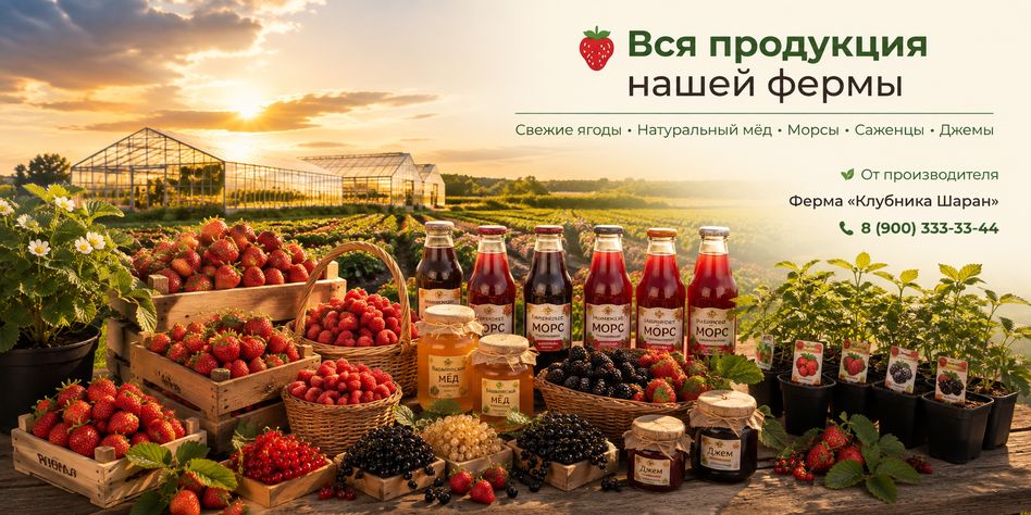 Клубника Шаран