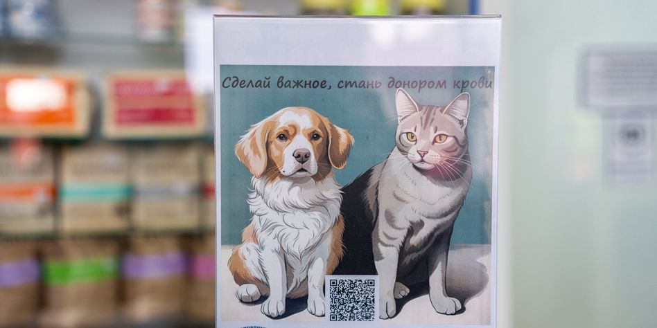 Айболит