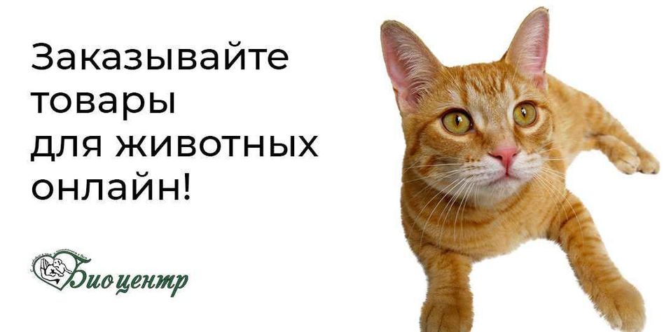 БИОЦЕНТР