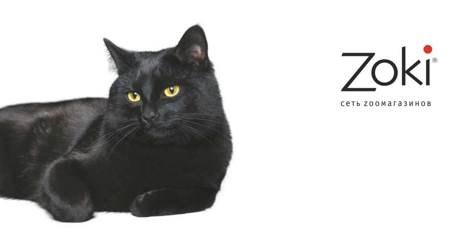 Zoki