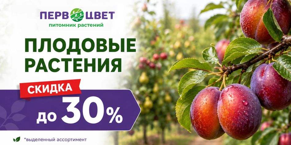 Первоцвет