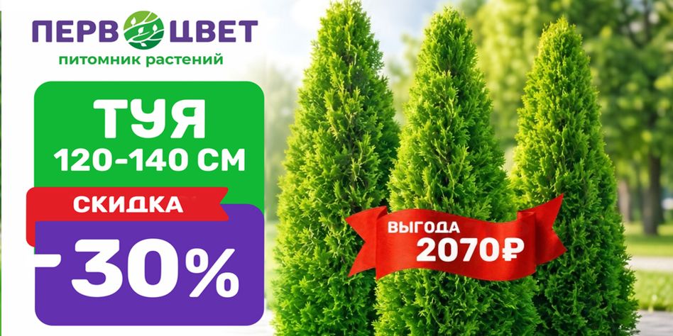Первоцвет