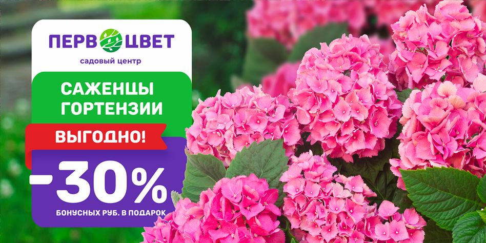 Первоцвет