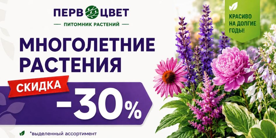 Первоцвет