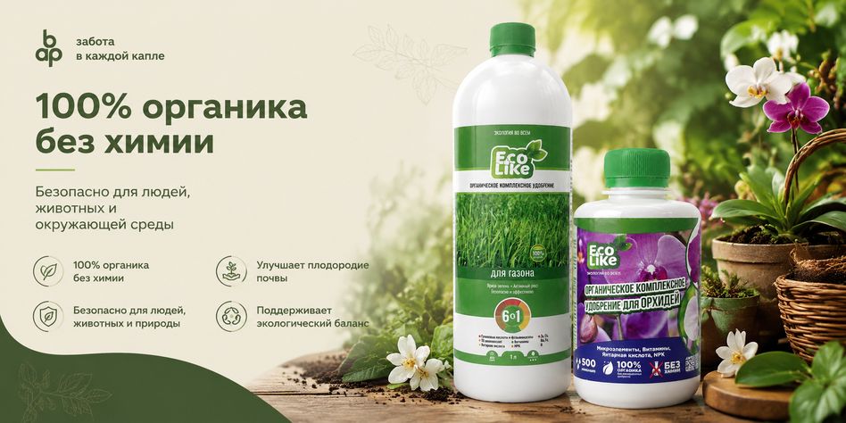 ЗЕЛЕНАЯ АПТЕКА