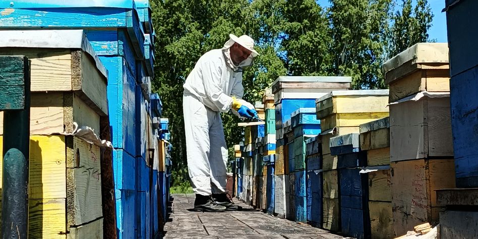 Пасека семьи Зеленских