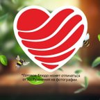 Суши Love