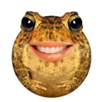 УралГидропоника