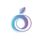 ibig-store.ru