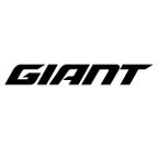 Giant