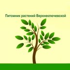 Питомник растений Верхнеключевской