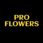 PRO FLOWERS