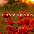 +SVOBODNO