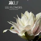LILI FLOWERS