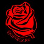 OPTROZ.RU