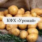 Урожай