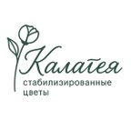 Калатея